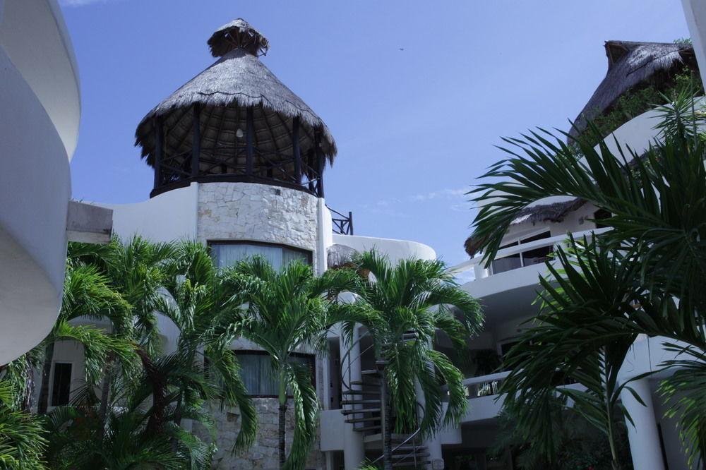 Blue Parrot On 5Th Avenue Hotell Playa del Carmen Exteriör bild